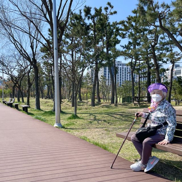 청초호 한가운데에 떠있는 정자