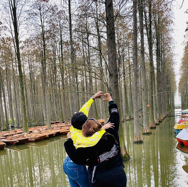 The Luyang Lake Wetlands Park