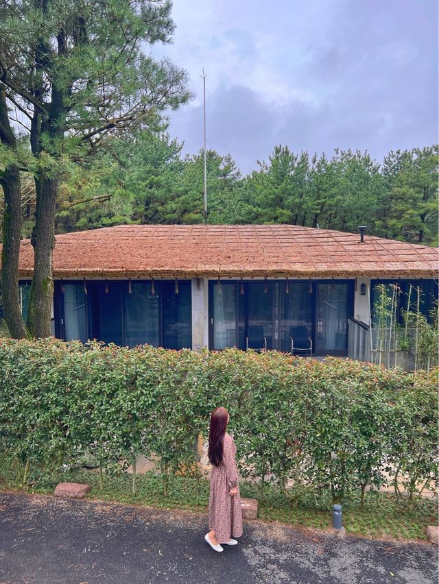 초가집감성의 럭셔리한 제주 엠버퓨어힐호텔