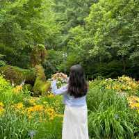 춘천에서 푸릇함이 느낄 수 있는 가든🌿💚