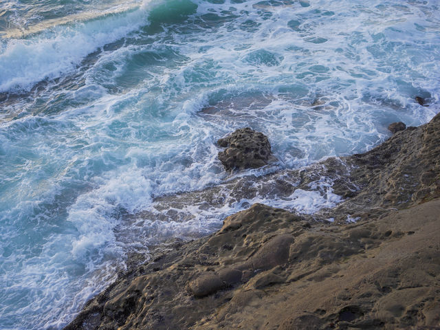 🇺🇸미국서부 센디에고 비치 La Jolla Cove!🇺🇸