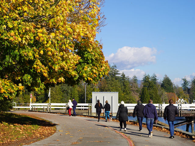 🇨🇦溫哥華史坦利公園遊記🍁