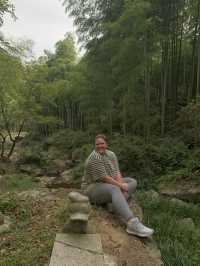 Find Yourself Amongst the Bamboo