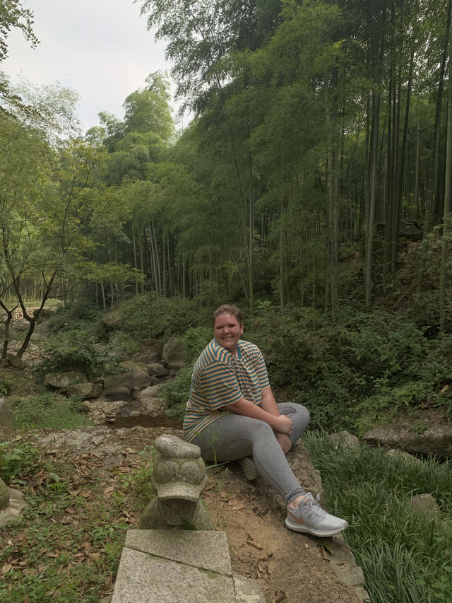 Find Yourself Amongst the Bamboo