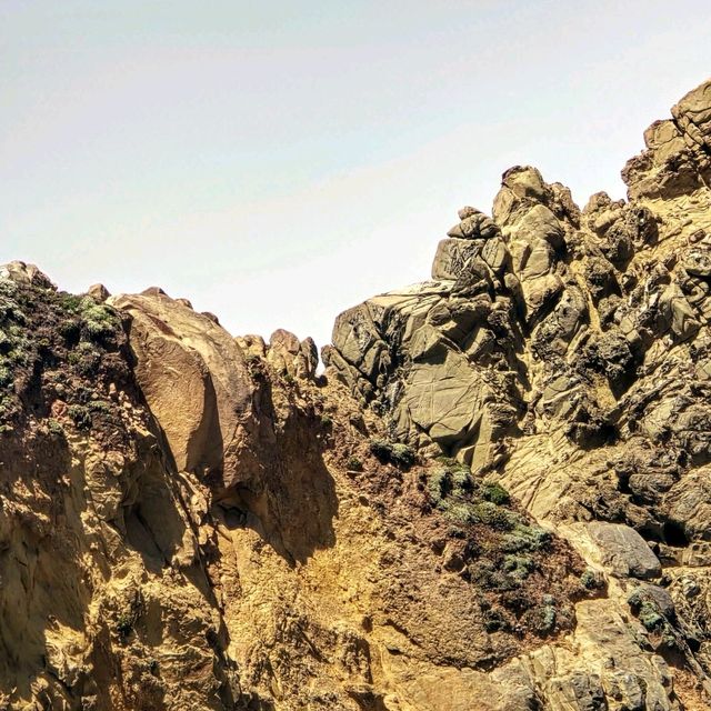 Pfeiffer Big Sur State Park 海灘 - 🏖️  加州的隱藏瑰寶，自駕遊的完美目的地！