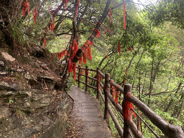 Zhangjiajie fairytail