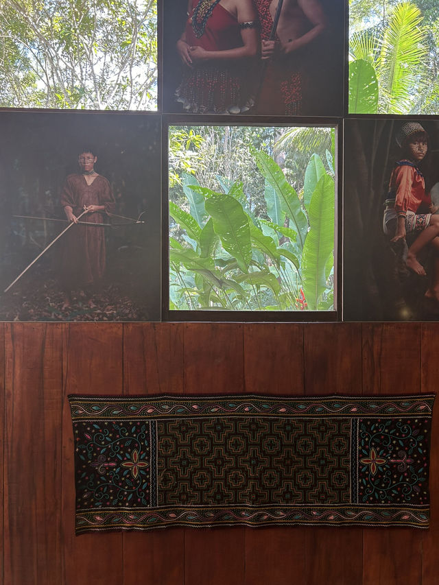 🪷世界初のアヤワスカ博物館へ🇵🇪ペルー【タラポト】