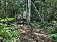 Amazing Boheydulang Island