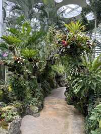 Shanghai Greenhouse Garden
