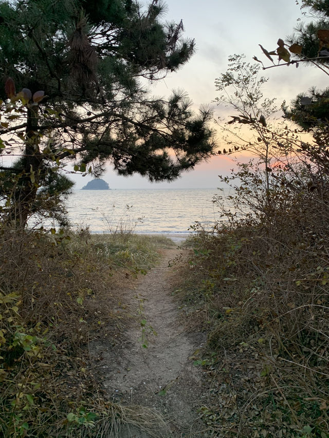 Best Korean seafood soup and beach lover๐๐ Best Korean seafood soup and beach lover๐๐