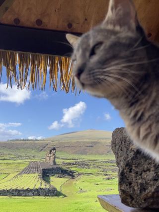 復活節島🗿日出