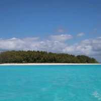 Mnemba Island Tours & dolphins Trip 