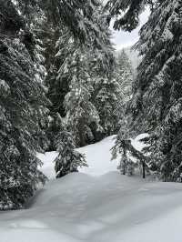 Grouse Mountain BC, Vancouver