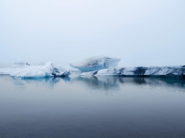 Iceland Nature and Creatures 🇮🇸 