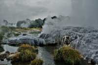 Enchanting Rendezvous in Rotorua 🌋