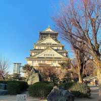 Osaka Castle 🏛️