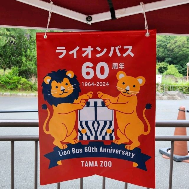 🐨多摩動物公園🦝超級大的動物園，與動物近距離互動