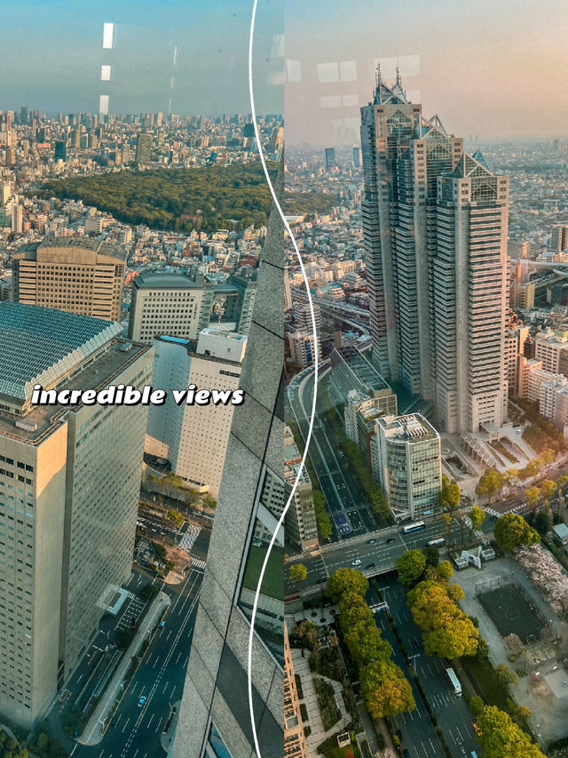 FREE Observation Deck in Tokyo at Metropolitan Government Building 🇯🇵