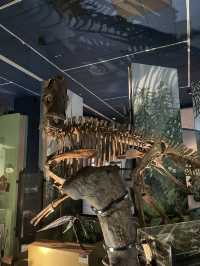 Have a roar-some time, dinosaurs at the museum of Wales
