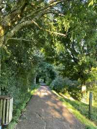 Pollok Country Park 