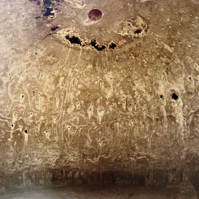 【🇵🇹葡萄牙旅行】Setúbal開心暢玩品酒遊