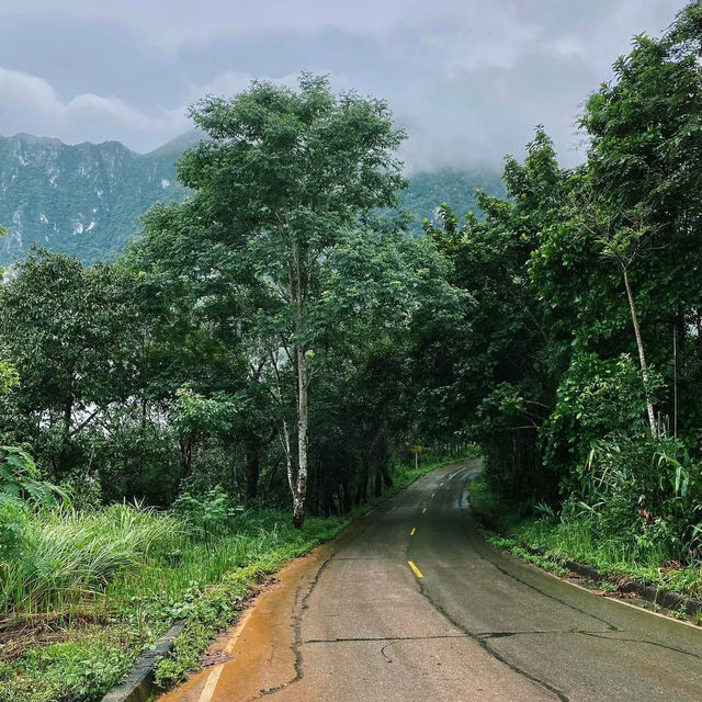 The beauty of Doi Luang 🇹🇭 