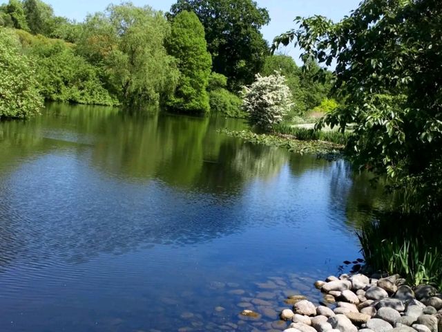 Kew Gardens - Itinerary ✨⭐✨⭐✨