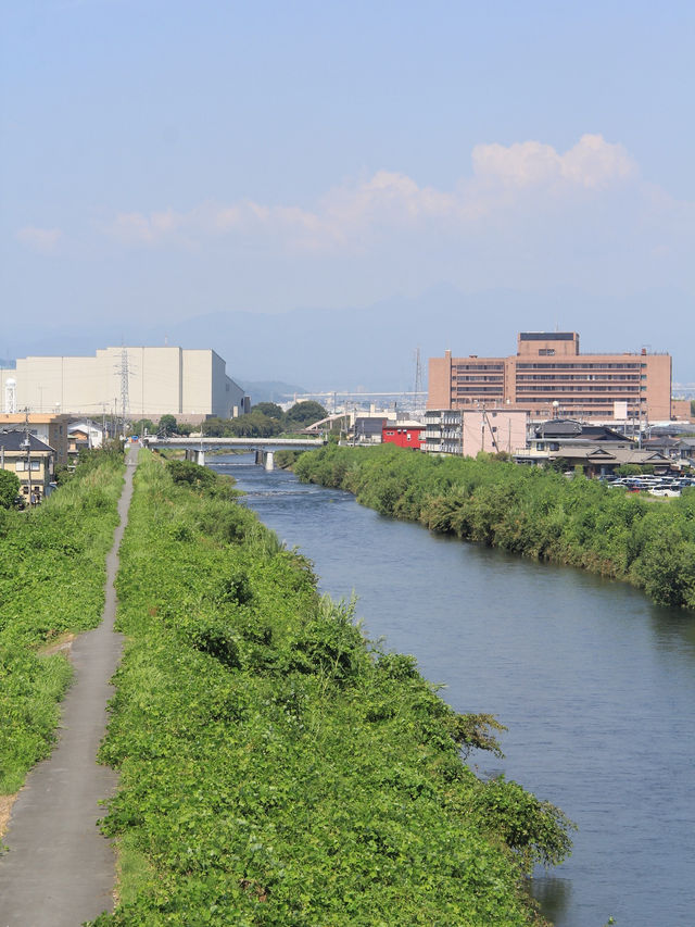 【東京近郊一天遊：靜岡大橋和新倉山淺間公園行程推介！】