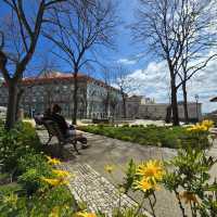 Spring in Lisbon 🗺️