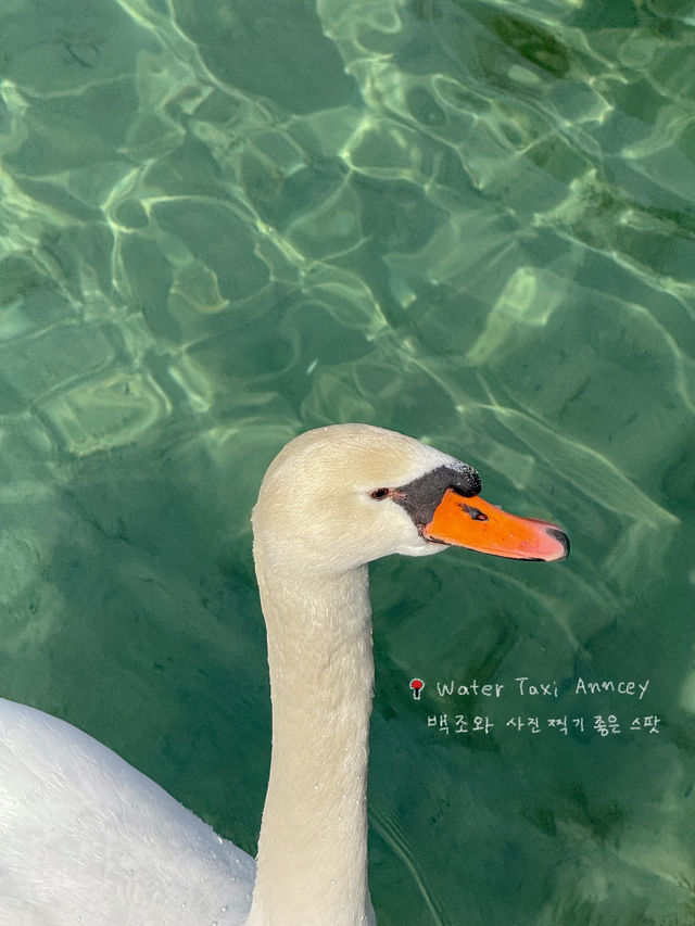 프랑스 사람들이 은퇴후 살고싶어하는 도시 안시🇫🇷