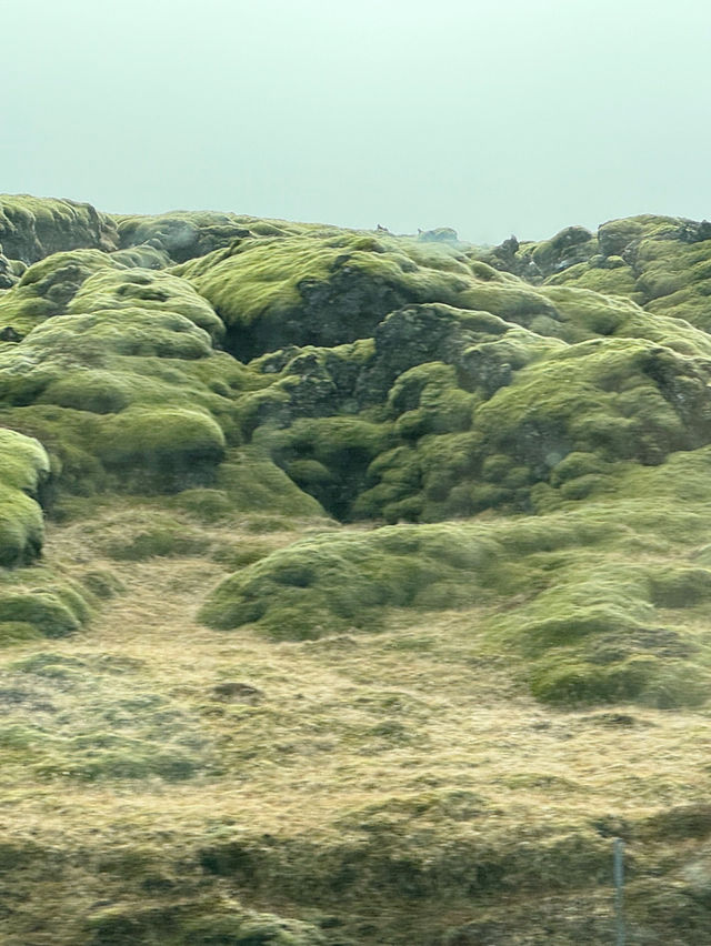Exploring the View of Reykjavík