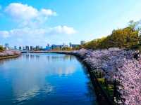 毛馬櫻之宮公園