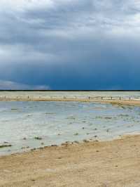 Salt Pan and Safari at Etosha National Park 🦓