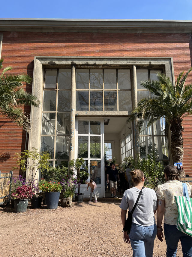 在城市中呼吸自然：里爾Jardin des Plantes 