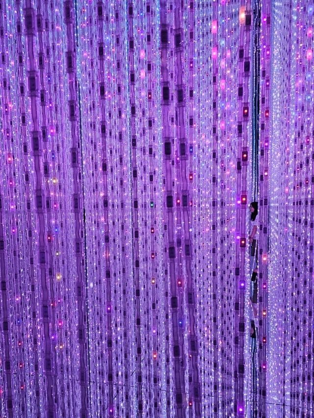 Step Into Another World at teamLab Planets Tokyo
