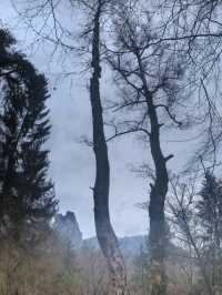 Bastei Bridge