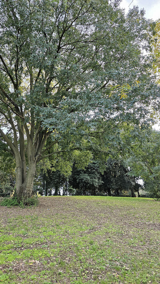 📍 Morning or Evening? Choosing the Best Time for Villa Borghese 🌞🌆