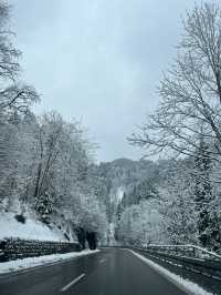 ❄️🏔️ Winter at Haldensee, Tirol – Where the Alps Whisper in Snow 🏔️❄️
