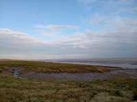 Magor Marsh and the Caldicot Levels 