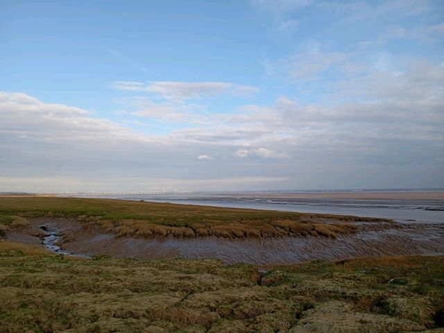 Magor Marsh and the Caldicot Levels 