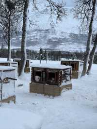 Tromsø, a Nordic city that will leave you speechless 