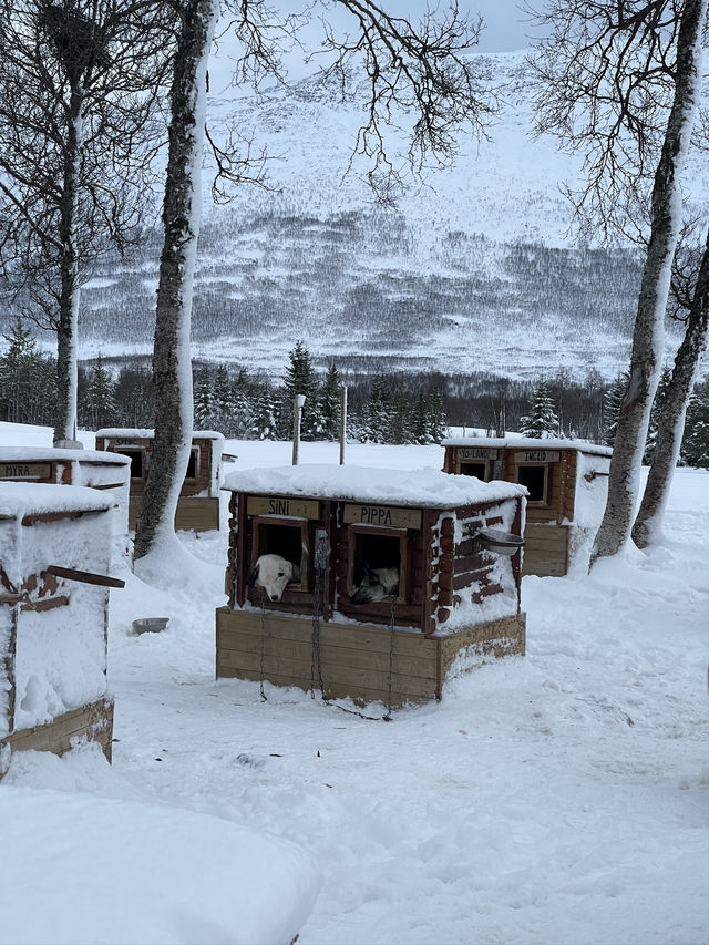 Tromsø, a Nordic city that will leave you speechless 