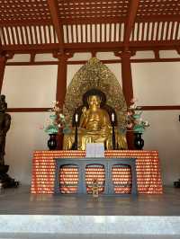 Step into Nara’s Spiritual Heart: Discover Kōfuku-ji’s Timeless Treasures 