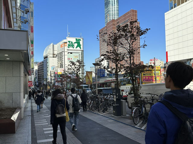 Guide to Tokyo’s wild energy: spotlighting Shinjuku’s most iconic spots Guide to Tokyo’s wild energy: spotlighting Shinjuku’s most iconic spots