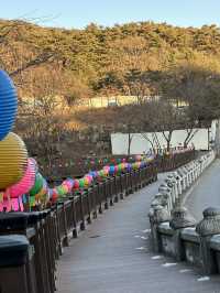 Get Ready to discover the hidden wonders of Daegu!