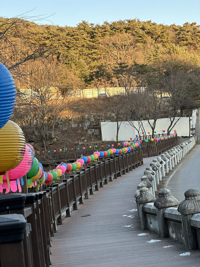 Get Ready to discover the hidden wonders of Daegu!