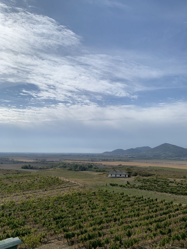 🍇 Tokaj: Land of Legendary Wine
