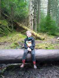 A magical walk in Puck's Glen, Dunoon