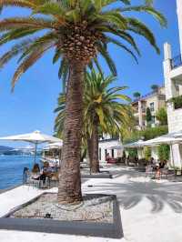 🌊 Kotor, Montenegro — A Medieval Jewel by the Bay