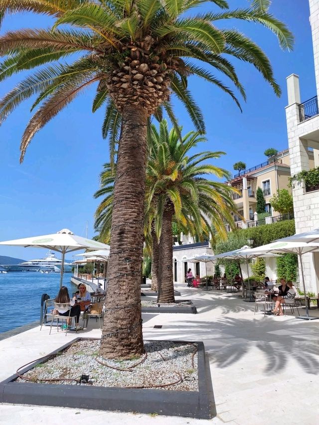 🌊 Kotor, Montenegro — A Medieval Jewel by the Bay